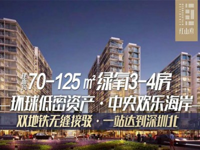 龙华红山府的房子卖点介绍_深圳龙华红山府公寓投资价值与升值潜力分析